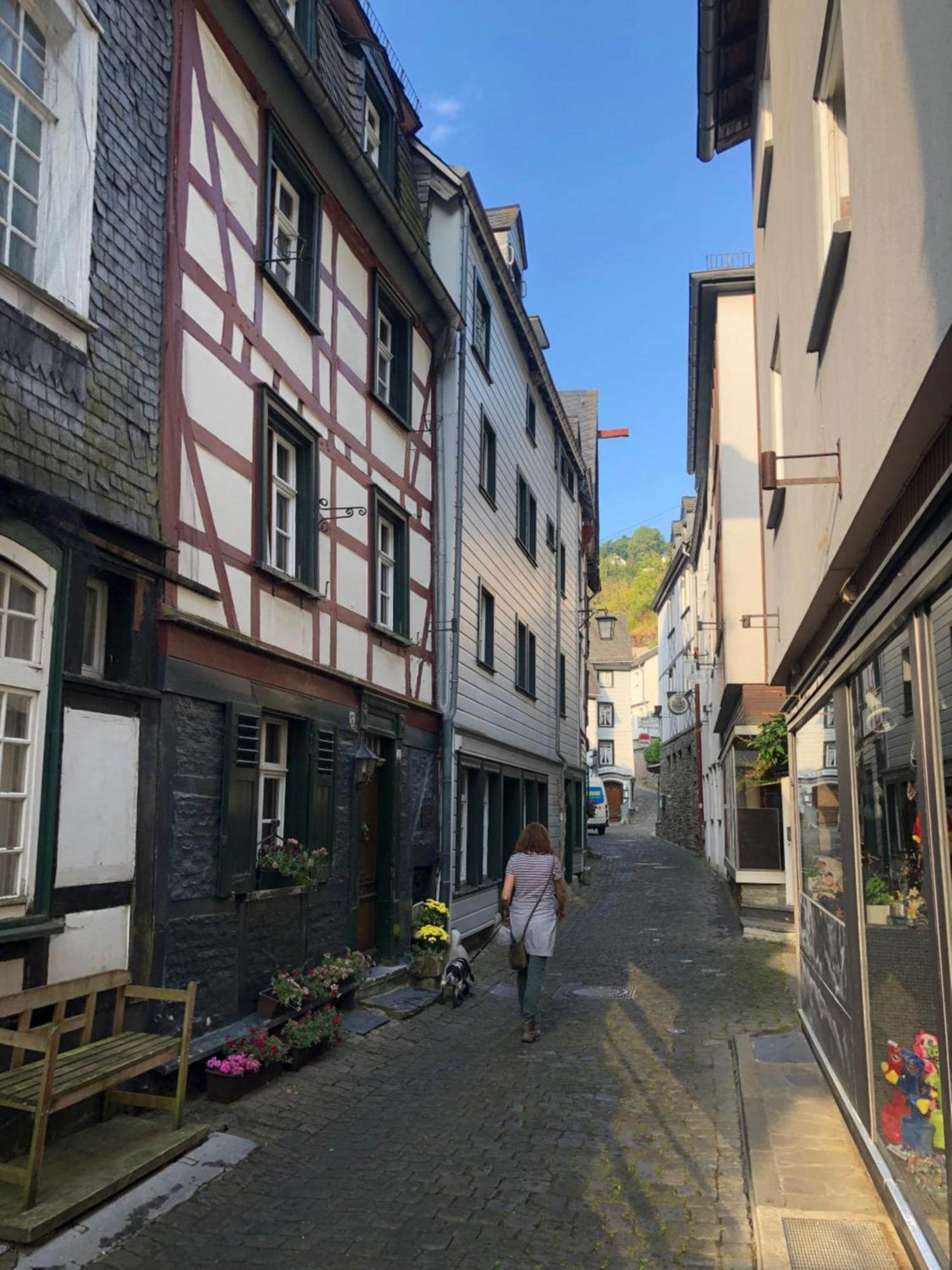 Apartment Rur-Partie Im Haus An Der Rur Monschau Exterior photo
